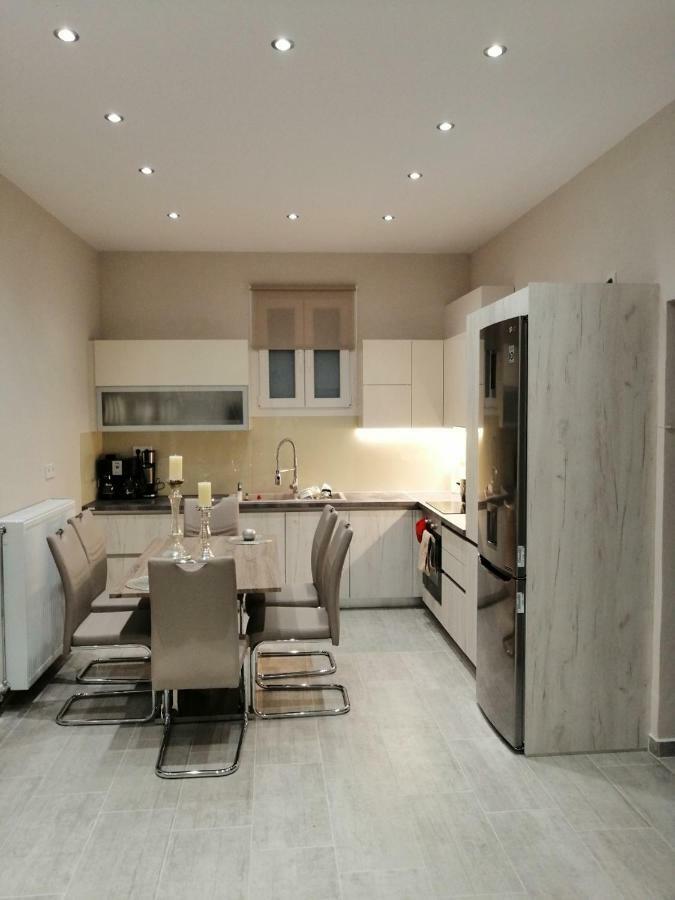 Agnítsini Olive Grove Deluxe Apartment מראה חיצוני תמונה