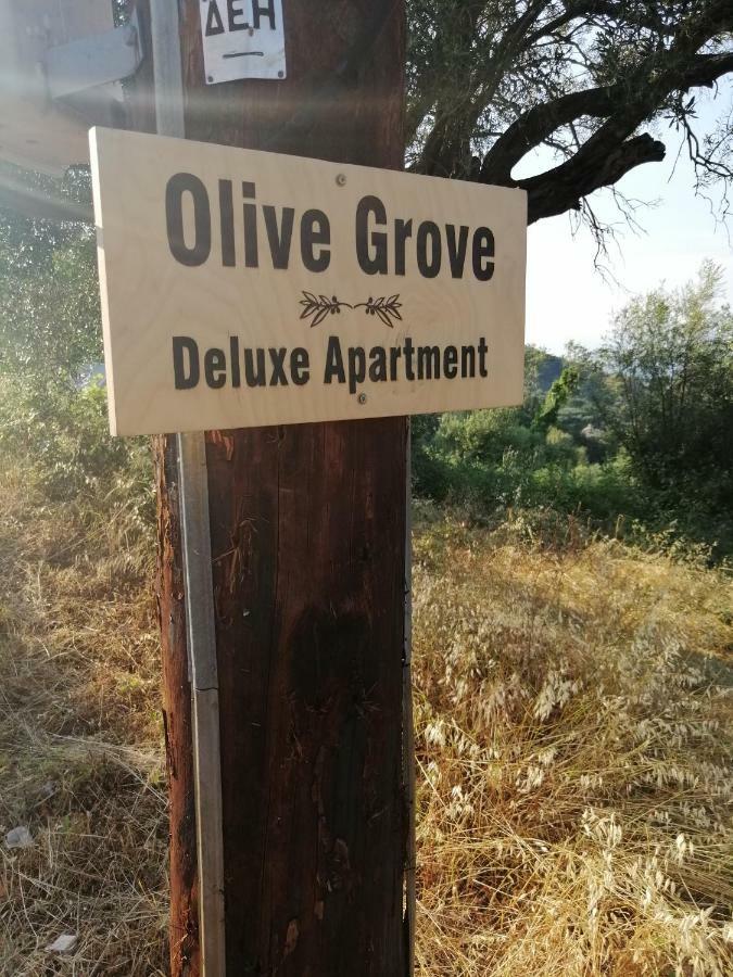 Agnítsini Olive Grove Deluxe Apartment מראה חיצוני תמונה